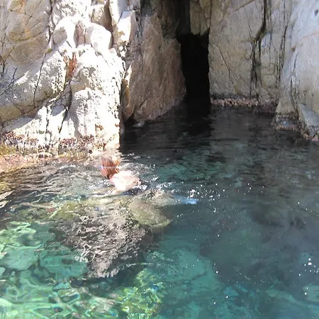 Joan Daire Lloret de Mar